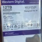 SURVEILLANCE & DESKTOP HDD(WD 12TB)