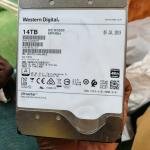 SURVEILLANCE & DESKTOP HDD(WD 14TB)